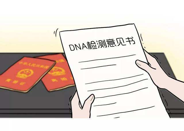 DNA亲子鉴定