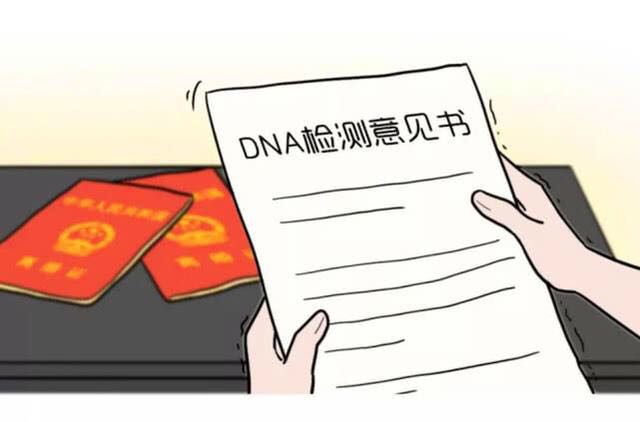 dna亲子鉴定报告