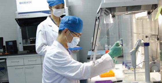 南京亲子鉴定机构
