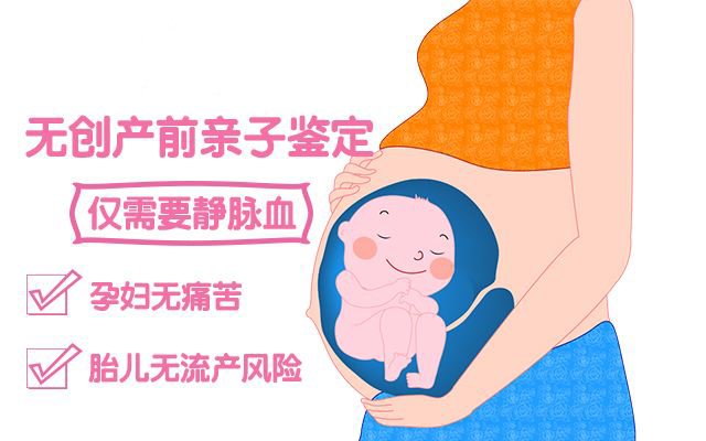无创产前亲子鉴定